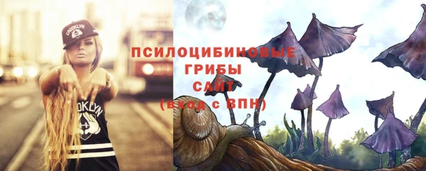 Альфа ПВП Лиски