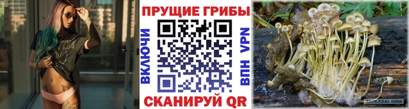 Псилоцибиновые грибы ЛСД  Купить закладки  Бабушкин 